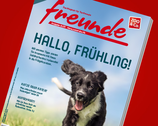 freunde-Magazin 01/2020